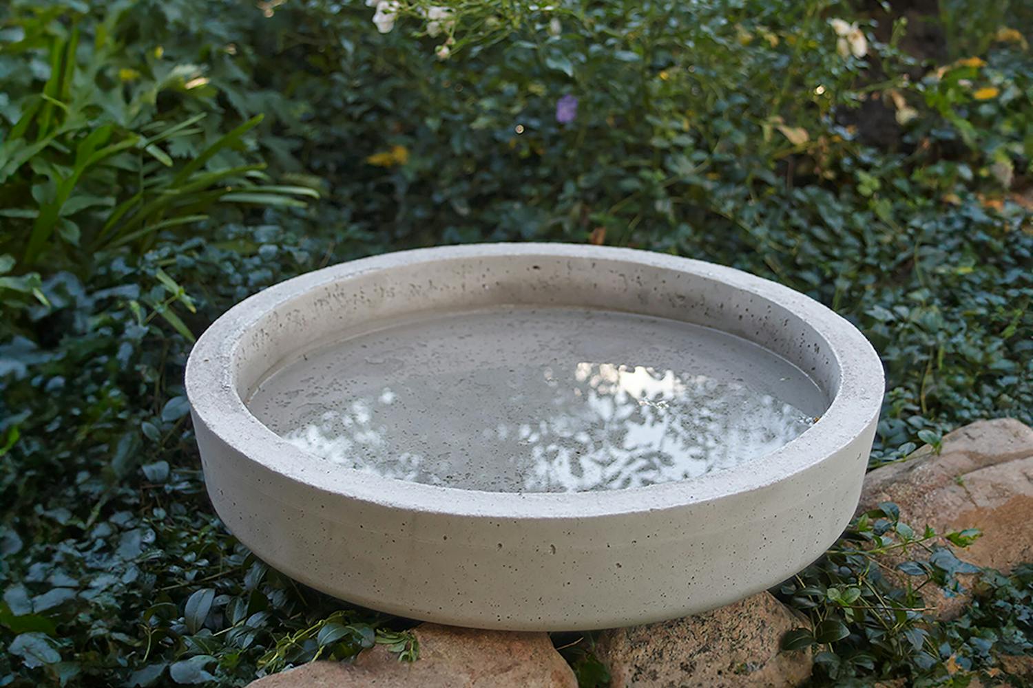 Fågelbad Vad kan man använda som fågelbad?